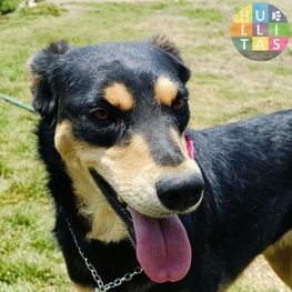 D 1cddd1b1 8708 43fd ad4f 1588b9c1b03e