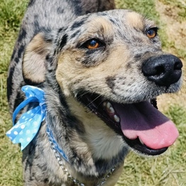 D f522ff9e 9720 4ab4 b9e5 d2a7fdfe039f