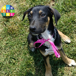 D 582f2a76 cbd5 4e12 a57c bbfa757dcd25