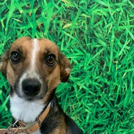 D 2b32aa43 3549 486d bd6a b12bf0a40346