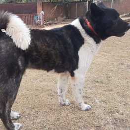 D 8760ebec eb86 4887 92c1 b6f429916368