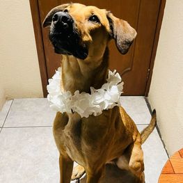 D 74e8c1a6 7060 4c7d 8ae8 efafd8280bb9