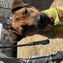 D 9341034c 67c4 46a9 af0f cfdc25be6809