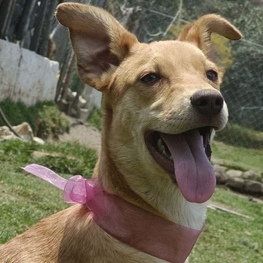 D 36a3ef9e e3ff 438c b0d4 8bc72e2b82bc