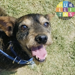 D f593826b 656f 42dd 9f2a 964bb26fedbe