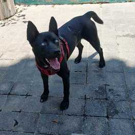 D 4727263f 58aa 44b6 95e8 941ef1929d81