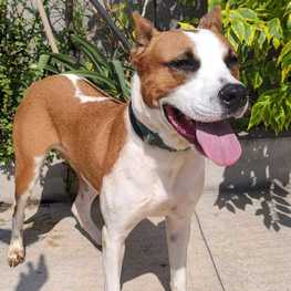 D fb7a53f1 5959 4ddc a840 0505e470d6c0