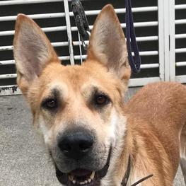 D dd6bb531 ca55 4b7f a3aa 9e20fca49075