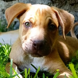 D bbf392db 02d1 4819 9faa 74f8d118e246