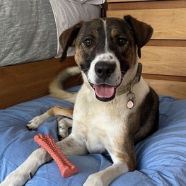 D 8729d6b8 447a 47a9 ad43 035de74cdb0e