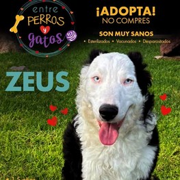 D 064ef2d5 7edb 45a3 b16a b24671da4488