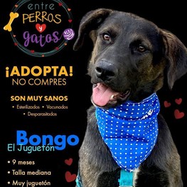 D a64ce917 798b 4487 a306 937391127ba2