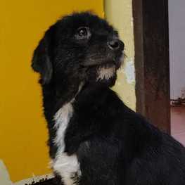 D 8640cae4 be87 4229 bc6e 695410e382a4