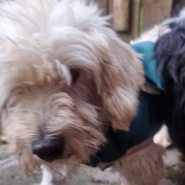 D 98ba72f2 f2e4 4877 8f1b 82d909984413