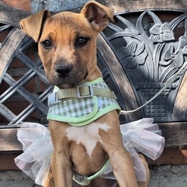 D be4247c0 cc46 47c6 bb39 7f60c607e8ba