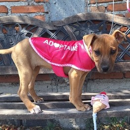 D 706390b1 7a36 4898 a011 dc29ac16c2f3