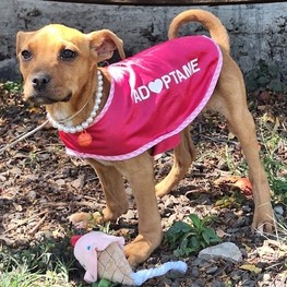 D 83673c53 9f6b 44f5 a9a7 2d12f89b6af8