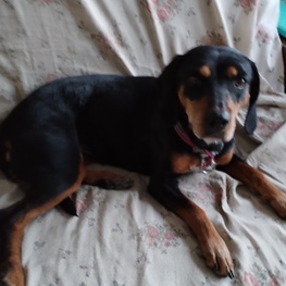 D dc64a36b fedc 40d2 b51c 671c0f185358