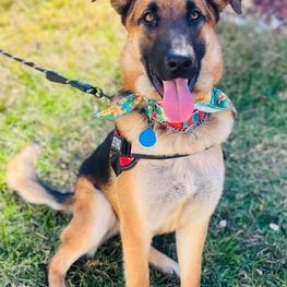 D 35e23c5f 426b 4c2b 8022 79ad931928c9