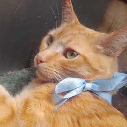 D fd26f195 fc83 4f66 8ced 072dd3806672