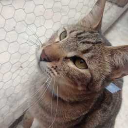 D 3c63358e a949 41d0 90c7 ad91eecf391e