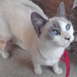 D 3bf7c471 5da5 407c 9d5e 5c4dc588fff9