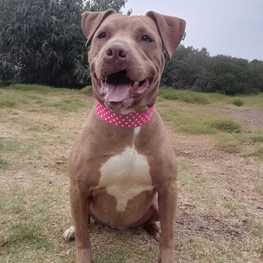 D 4e9cb482 c2ea 4176 8d9c 2207d63b7e4e