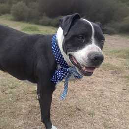 D dff9e390 8627 481a b31f 82ba6f828020