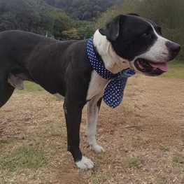 D a5241279 d2b5 429f a9e8 9511460b283d