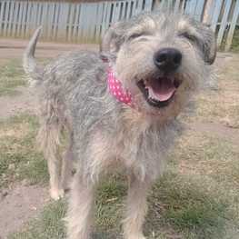 D 8470bb3f fbd8 4793 a1f4 486e58a69a2d