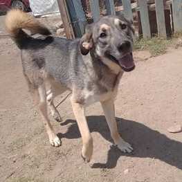 D 648b0dd7 a1b2 47ff b747 55f9eacee598