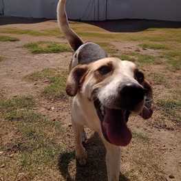 D c3c03452 29ea 47b1 ab3f 2faae3987d07