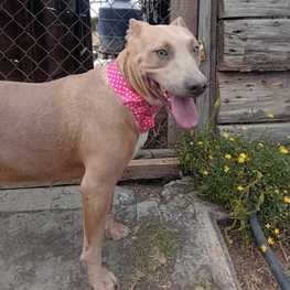 D ffdc6252 4c72 4f9f 90fa 2b52f912d08c