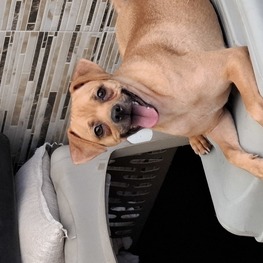 D 1390257e bf2d 4bb8 9d90 a842334ff41e