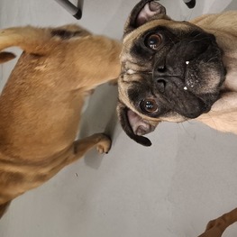 D 721dfb2f 35e8 4d53 a9e0 d8ccbd886f43