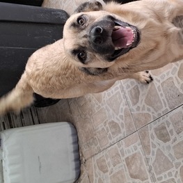 D 75e3ad18 bf71 46cd 8a6e 1781ace014e7