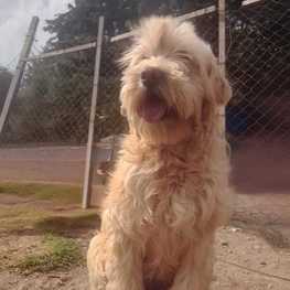 D 75883479 f68d 4f83 a188 a2a9fa689413