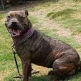 D 45d90ec1 1857 4c0a b3e8 6fd6cbdb0322