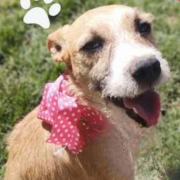 D c58e6a18 5e66 44ee 9f0e ef5ea1606757