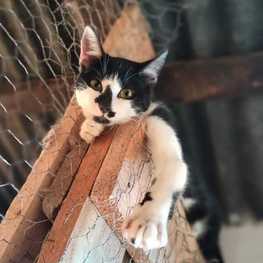 D f5331a21 4297 4063 8d32 12bd88304d94