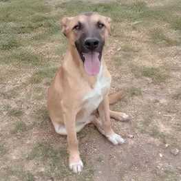 D 99855df3 5352 4a52 939e 93c9d7c4ea48