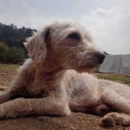 D 42d6a7f3 ccd7 41eb b5d2 cfff46ab1de2