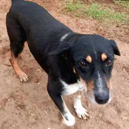 D 8d1dc401 b215 442b 8235 0f369392fc6d