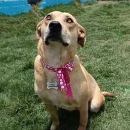 D 12635d25 7c58 4ec1 9e47 8f71b92f8a73