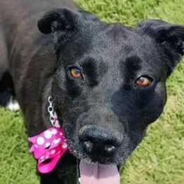 D b1bafb10 01dd 49e8 8fc8 f1b7363ec3c8