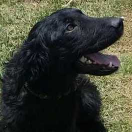 D 26861e86 8b4b 4eb9 a8d9 a75695ffd755