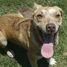 D 4013c317 35e9 4b6b 8b3b 0944ad7f0c0f