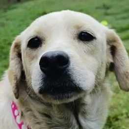 D f481bd1e b186 4ec7 a914 7a995a7d85a2