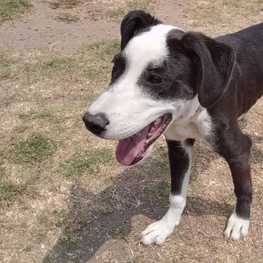 D 44fd09ad a5a8 4319 8507 62bde2240fd3