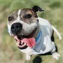 D 8927b048 3102 43f5 9c98 02235e7061bf